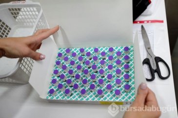 Mutasyon hangi yaş grubunu nasıl etkiliyor?
