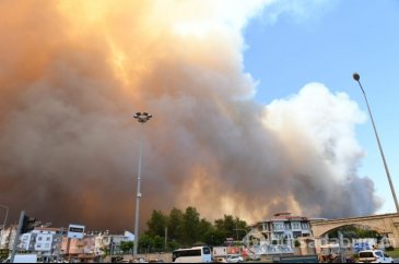 Manavgat'ta orman yangını	