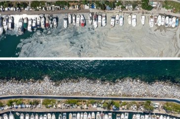 Marmara sahillerinde müsilaj etkisini yitirdi