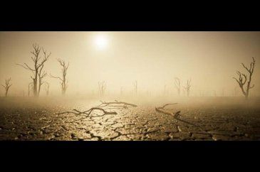 Dünya Meteoroloji Örgütü'nden küresel ısınma uyarısı