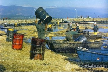 ABD tarihinin en büyük petrol sızıntısı... Sahiller kapatıldı!