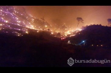 Muğla'da korkutan yangın!