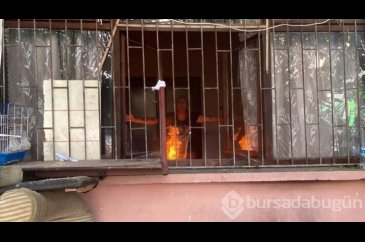Polislere direnip evi ateşe verdi!