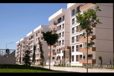 Kiralık evler açık artırma usulü çalıştığı belirtiliyor