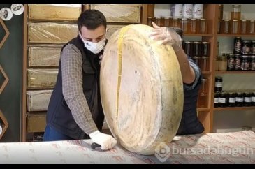 Sezonun ilk gravyer peyniri tezgahlarda yerini aldı