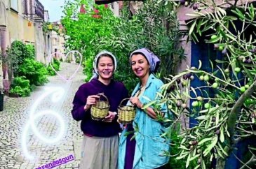 Burcu Biricik zeytin topladı