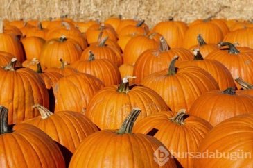 Sonbaharda en çok hangi besinler tüketilmesi gerekir?