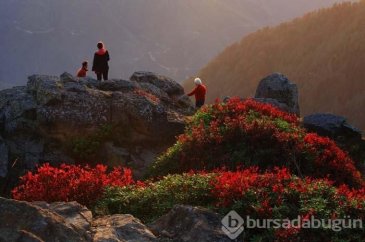 Sonbaharda fotoğraf tutkunlarının Karadeniz'deki ilk adresi!