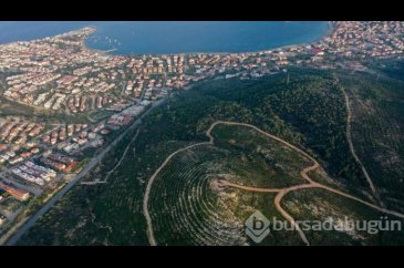 Foça, yangından 4 yıl sonra yeniden yeşerdi