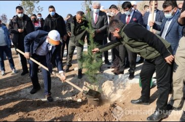 Milli Ağaçlandırma Günü'nde Türkiye'nin dört bir yanından fidan dik...