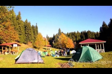 Şehrin gürültüsünden kaçan oraya koşuyor! 