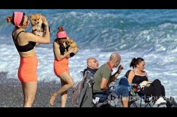 Akın ettiler! Antalya'da şaşırtan anlar
