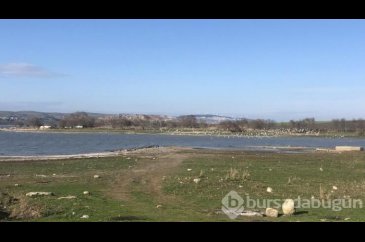 İstanbul'un barajlarında son durum