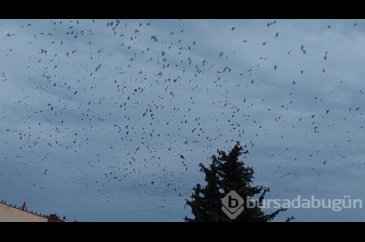 Korku filmlerini artmadı!