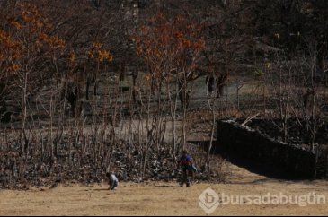Afganistan'ın Pencşir vilayetinde sonbaharın son günleri