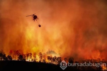 2020'de 38 santigrat derece ile Sibirya'da sıcaklık rekoru kırıldı