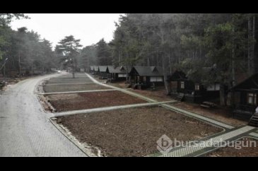 Bursa'da yılbaşı öncesi talep patladı!