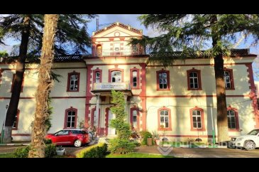 Bursa'da bu öğrenciler keçi sağıp, tavuk bakıyor