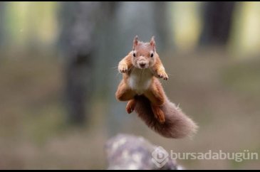 Kasabalılar evden çıkmaya korkar oldu! Nedeni öfke nöbeti geçiren b...