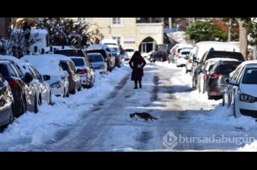 Kar gitti beyaz çilesi kaldı!