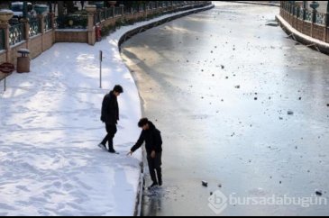 Porsuk Çayı'nda buz önlemi!