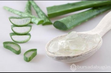 Evinizde aloe vera bulundurmanız için 7 neden