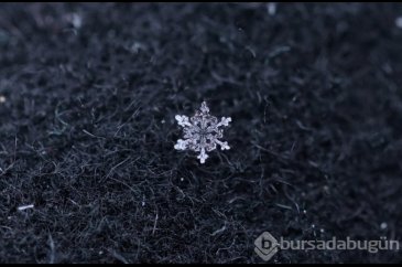 Kar kristallerinin eşsiz fotoğrafları

