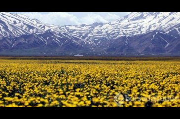 Kış geri döndü: Bahar ne zaman gelecek?