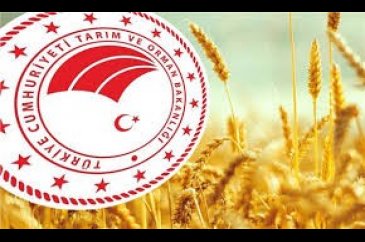 Tarım ve Orman Bakanlığı (OGM-DSİ) 5064 personel alımı yapacak!