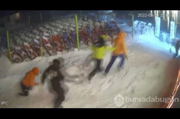 Uludağ'da ayı paniği