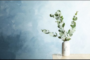 Okaliptus Ağacının Faydaları nelerdir?