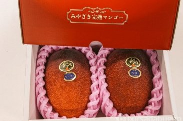 Japonya'da iki mango 58 bin 300 lira...