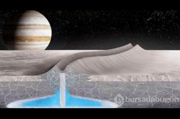 Europa'da yaşam umudu!