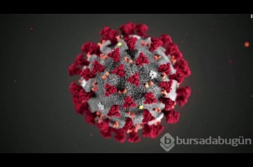Gizemli hepatit vakalarına uyarı!