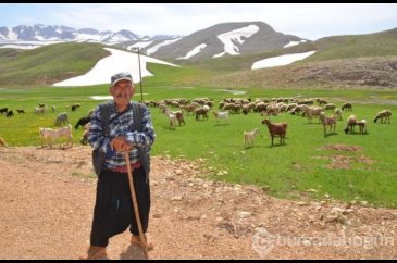 Antalya'da yayla serüveni başladı!