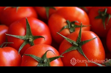 Bu besinleri mikrodalga fırında ısıtmayın!
