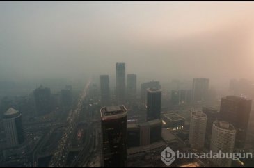 Avrupa'daki kanserin yüzde 10'u hava kirliliğinden kaynaklanıyor