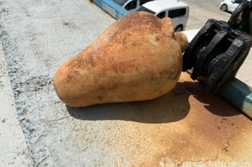 İstanbul Sarıyer'deki bir balıkçıda 11 antik amfora bulundu