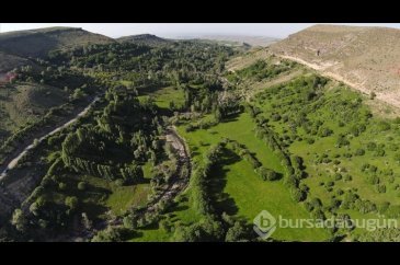 Iğdır'ın Üçkaya Vadisi yeşiliyle Karadeniz'i andırıyor