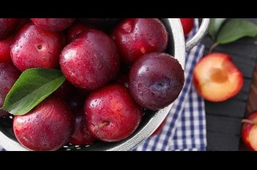Diyet listelerinin bir numarası kırmızı eriğin faydaları ne?

