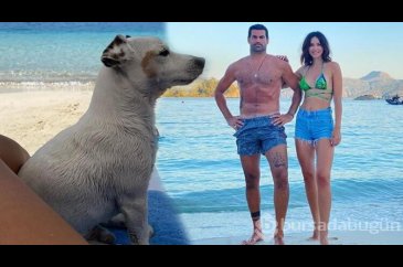Zeynep Sever Demirel'in köpeği deniz keyfi yapıyor

