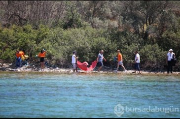 Muğla Bodrum'da kıyı ve dip temizliği
