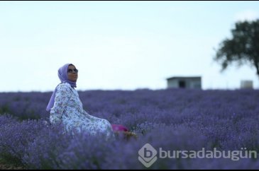 İstanbul'un yanı başındaki Tekirdağ'da mor günler başladı
