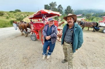 Abant Milli Parkı'nda fayton yasaklandı