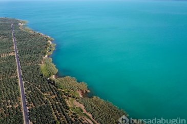 İznik Gölü turkuaz renge büründü