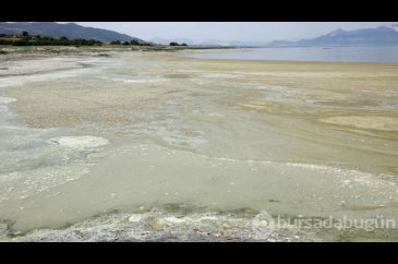 Burdur Gölü'nde alg patlaması