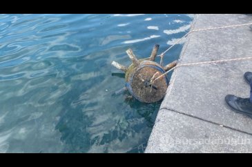 İstanbul İstinye'de şüpheli cisim paniği
