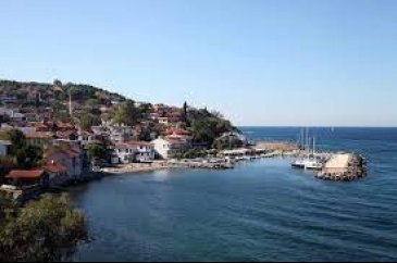 Bursa sahillerinden sevindiren haber