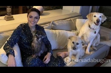 Ezgi Molanın köpeği ameliyat oldu işte o duygusal anlar...