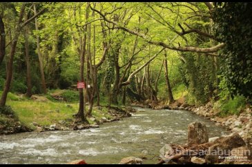 Bursa'da gezilecek yerler: Misi Köyü
